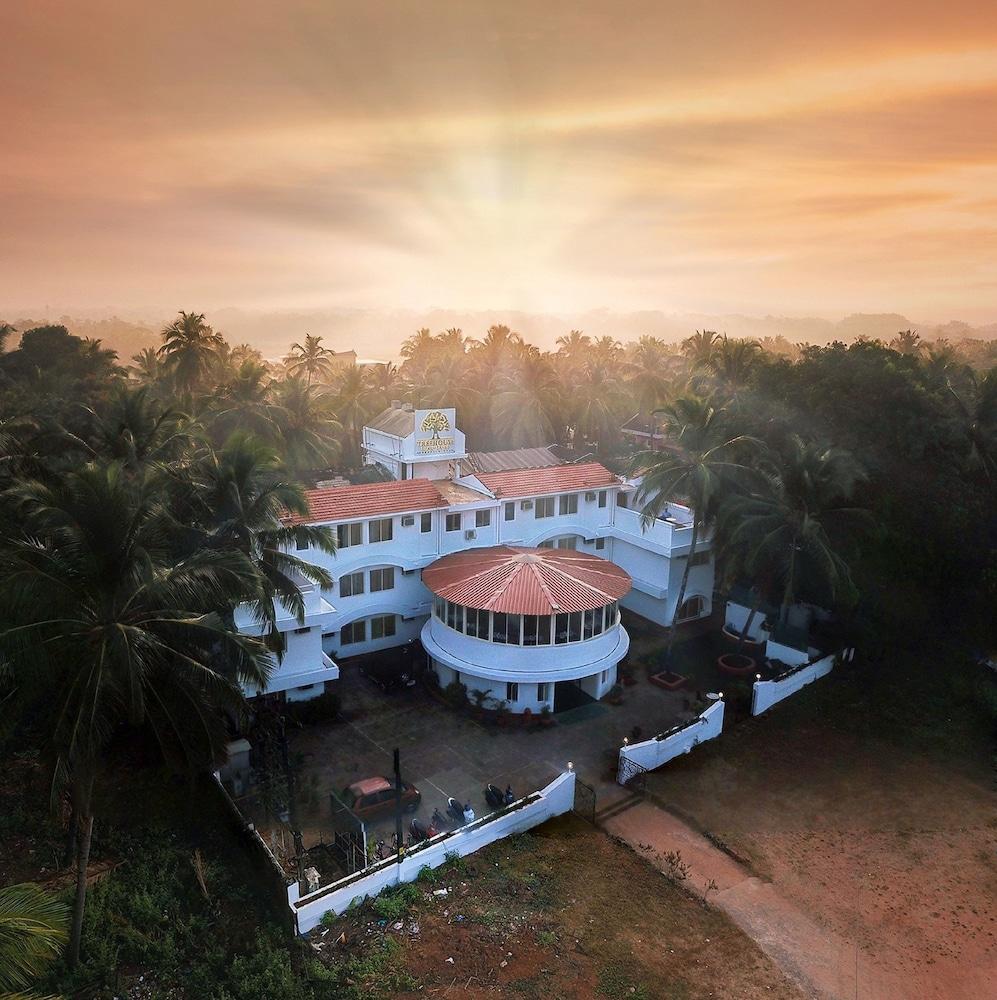 Hotel Treehouse Stamp Colva Exterior foto